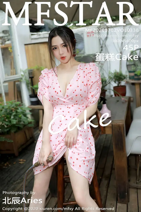 Vol. 0338 蛋糕Cake(46P)