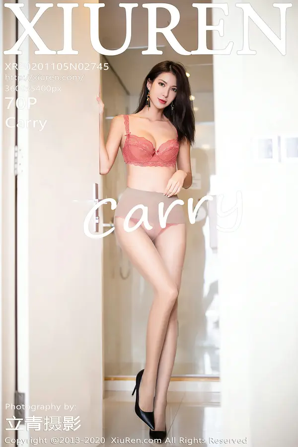 Vol. 02745 Carry(71P)