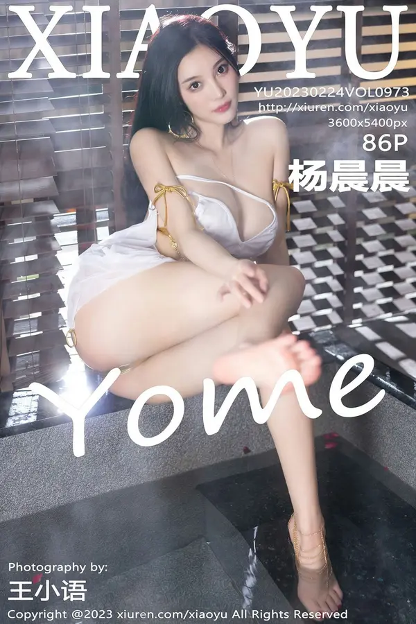 Vol. 0973 杨晨晨Yome(87P)