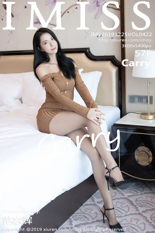 Vol. 0422 Carry(58P)