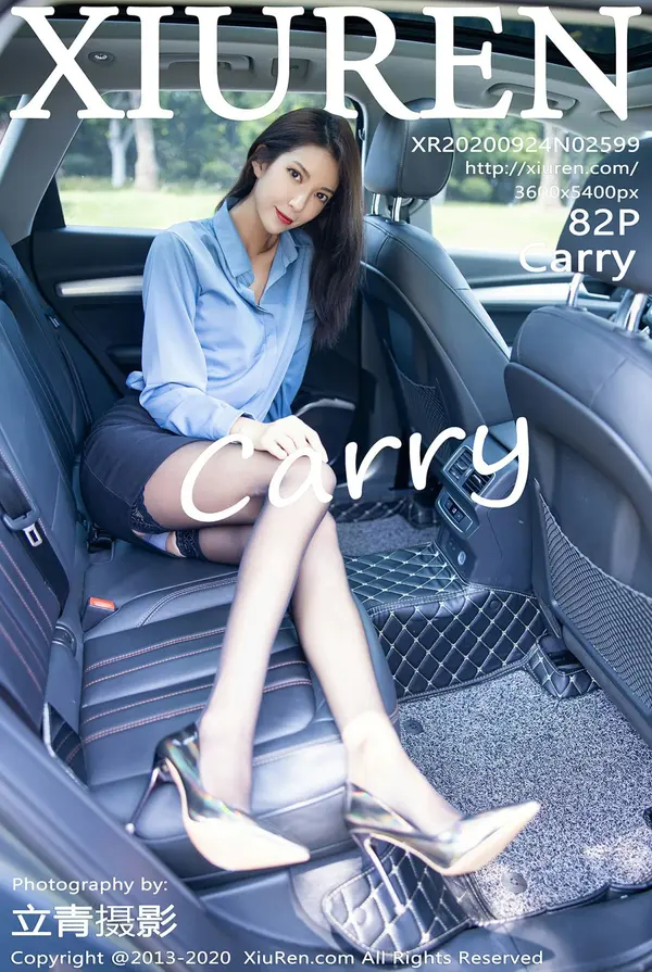 Vol. 02599 Carry(83P)