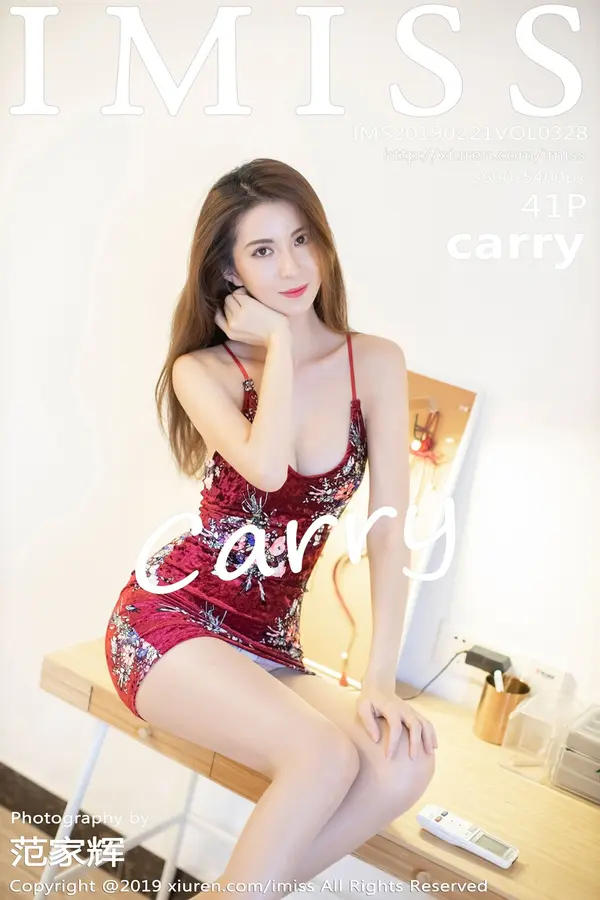 Vol. 0328 Carry(42P)