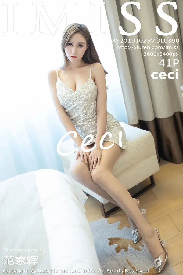 Vol. 0390 ceci(42P)