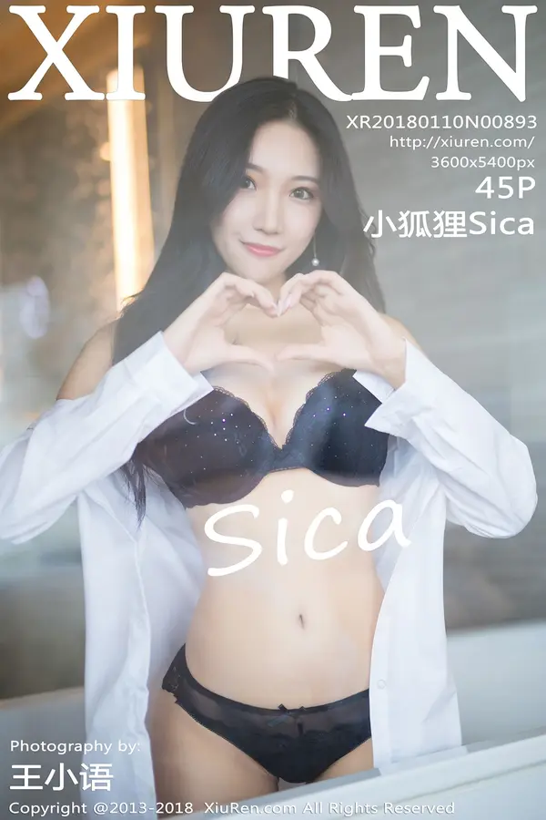 Vol. 00893 小狐狸Sica(46P)