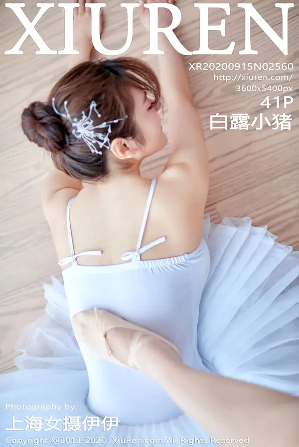 Vol. 02560 白露小猪(42P)