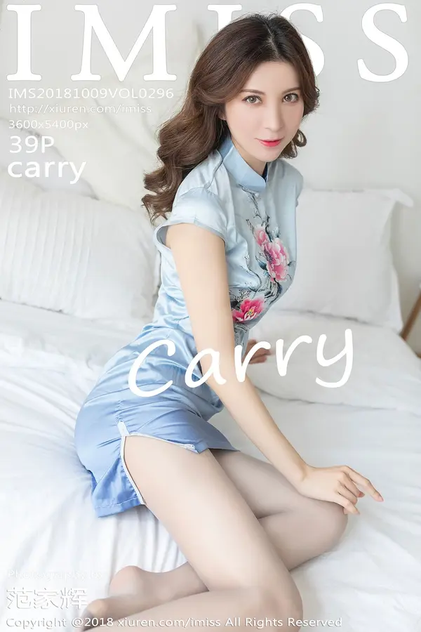 Vol. 0296 Carry(40P)