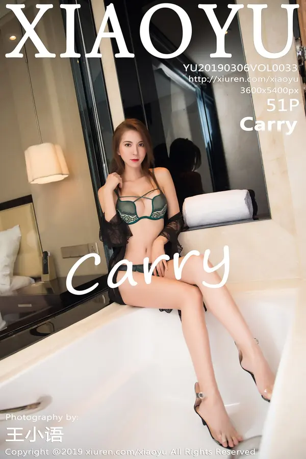 Vol. 0033 Carry(52P)