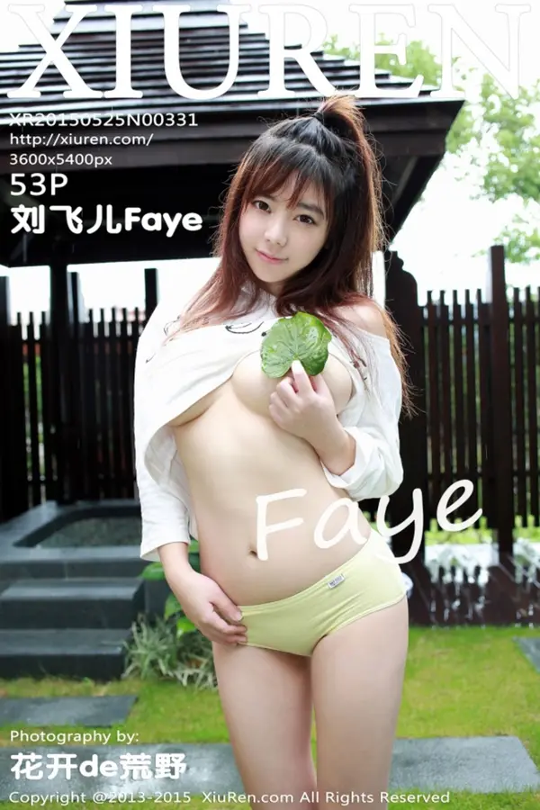 Vol. 00331 刘飞儿Faye(54P)